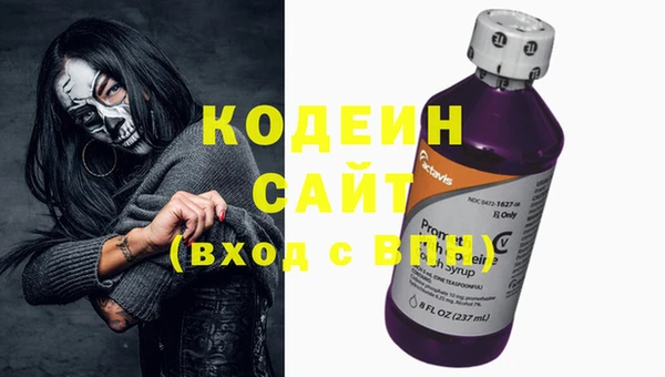 прущие грибы Алзамай