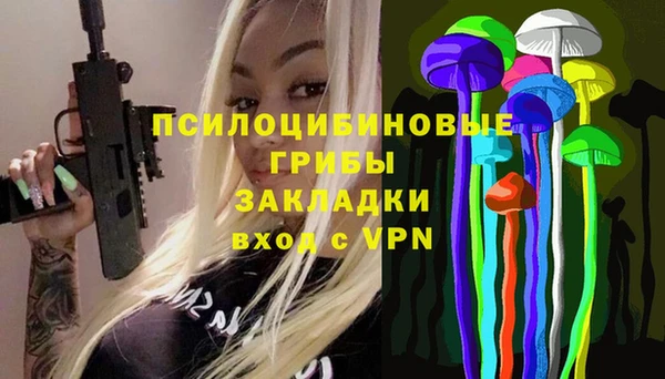 прущие грибы Алзамай